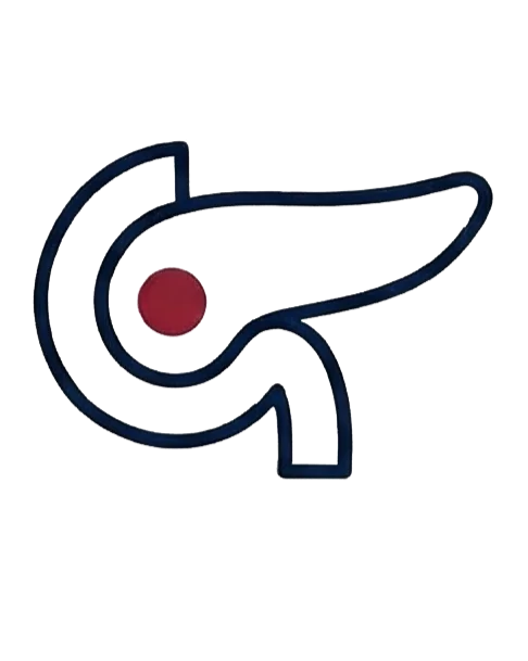 Páncreas y Digestivo