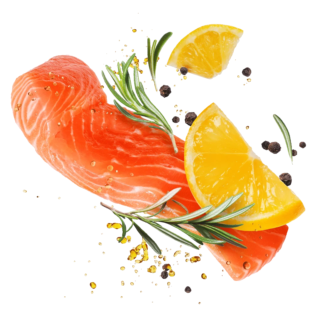 KOSAN-Sushi-fresco