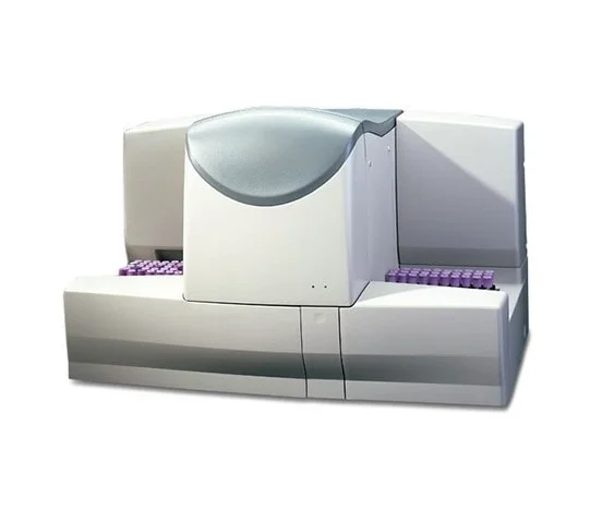 Imagen de galería 3