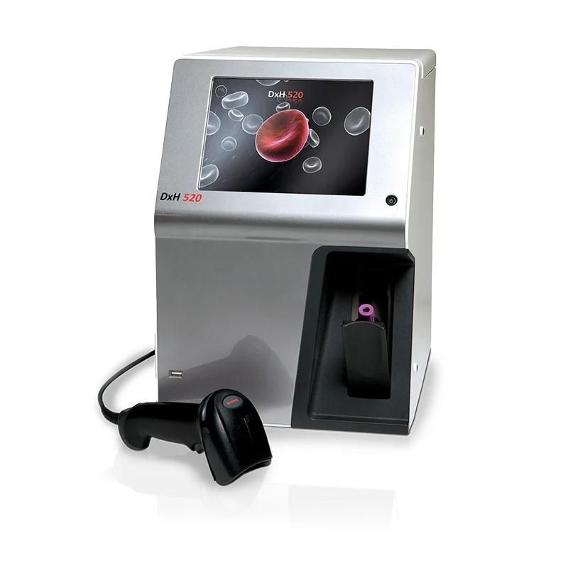 Imagen de galería 4