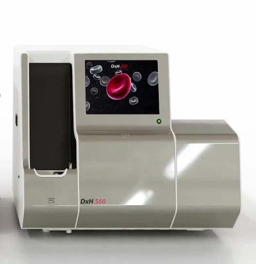 Imagen de galería 7