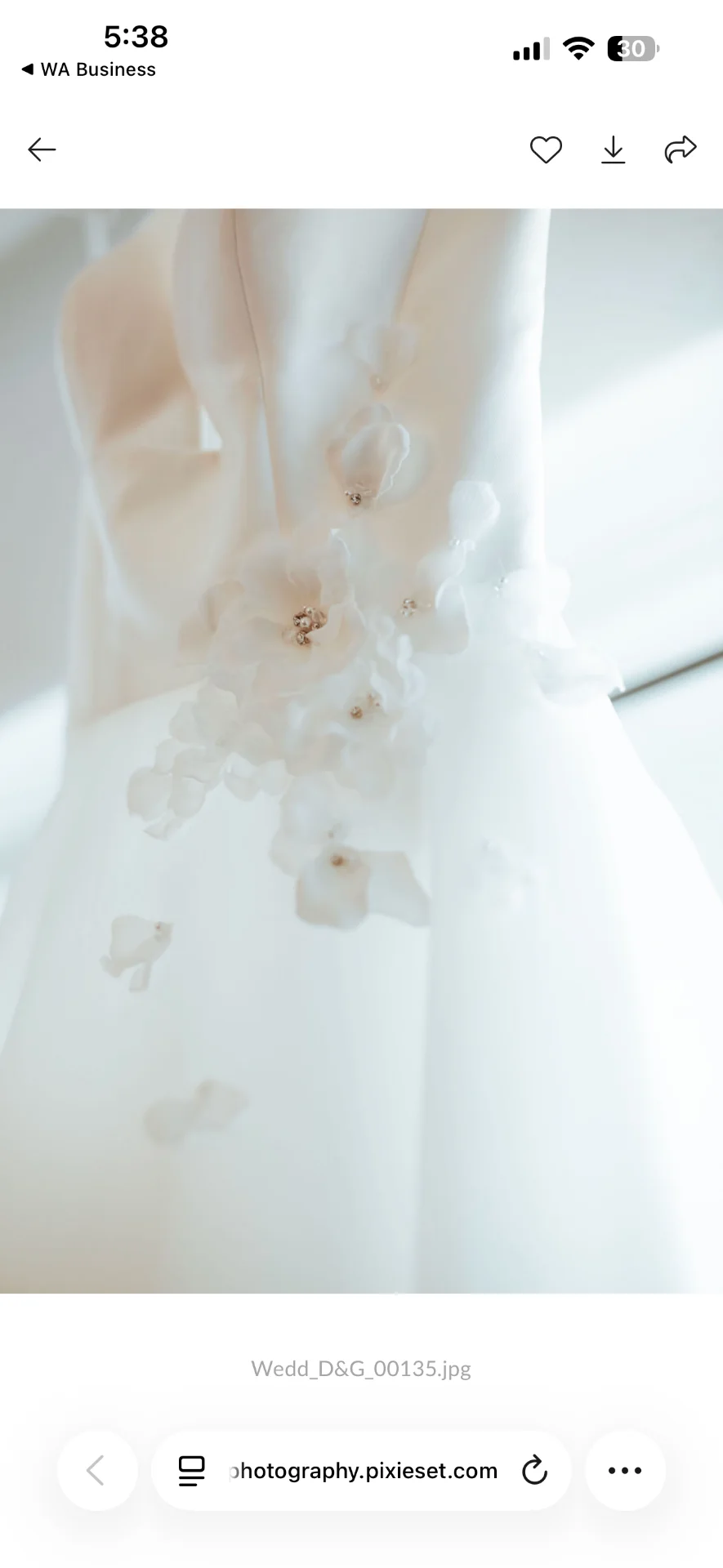 Detalle bordado del vestido de novia