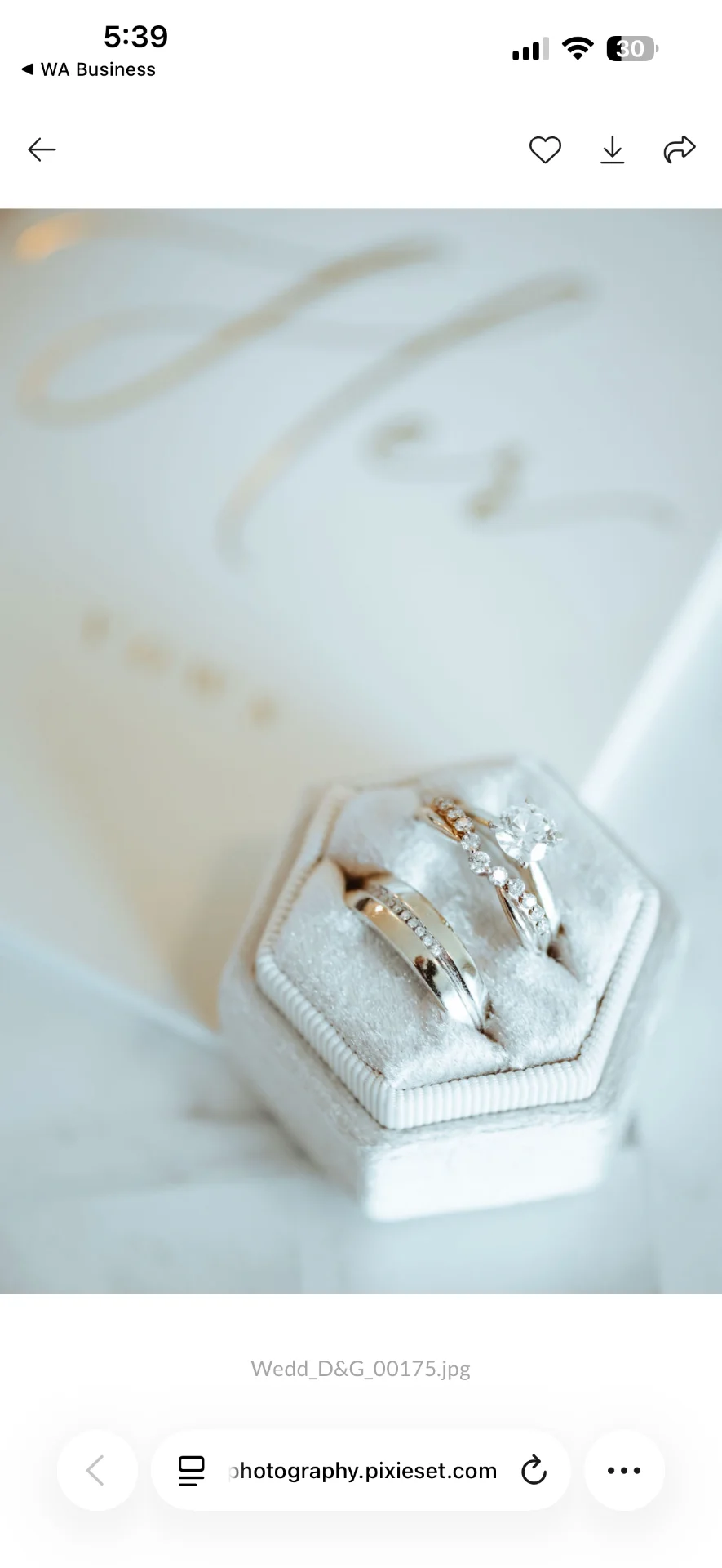 Anillos de boda presentados en un estuche
