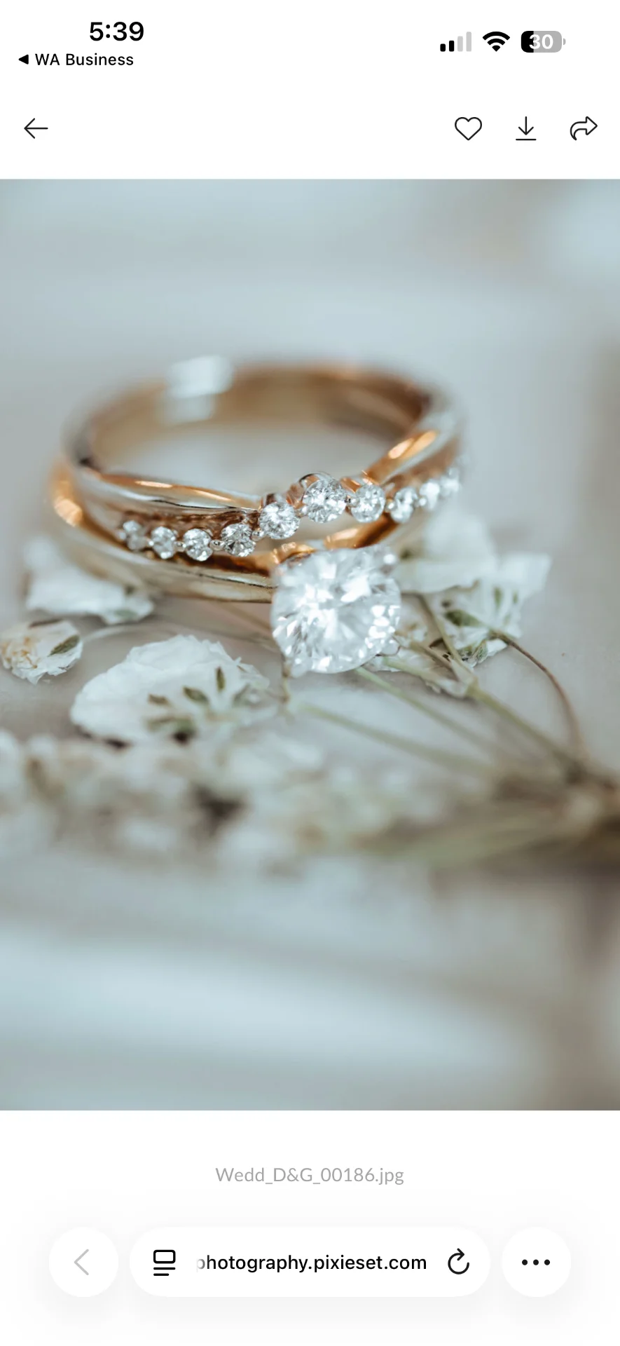 Anillos de boda sobre una superficie decorada