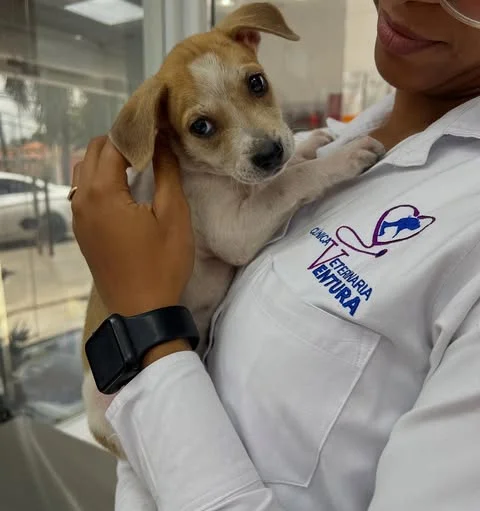 Direcci&oacute;n m&eacute;dica en Cl&iacute;nica Veterinaria Ventura