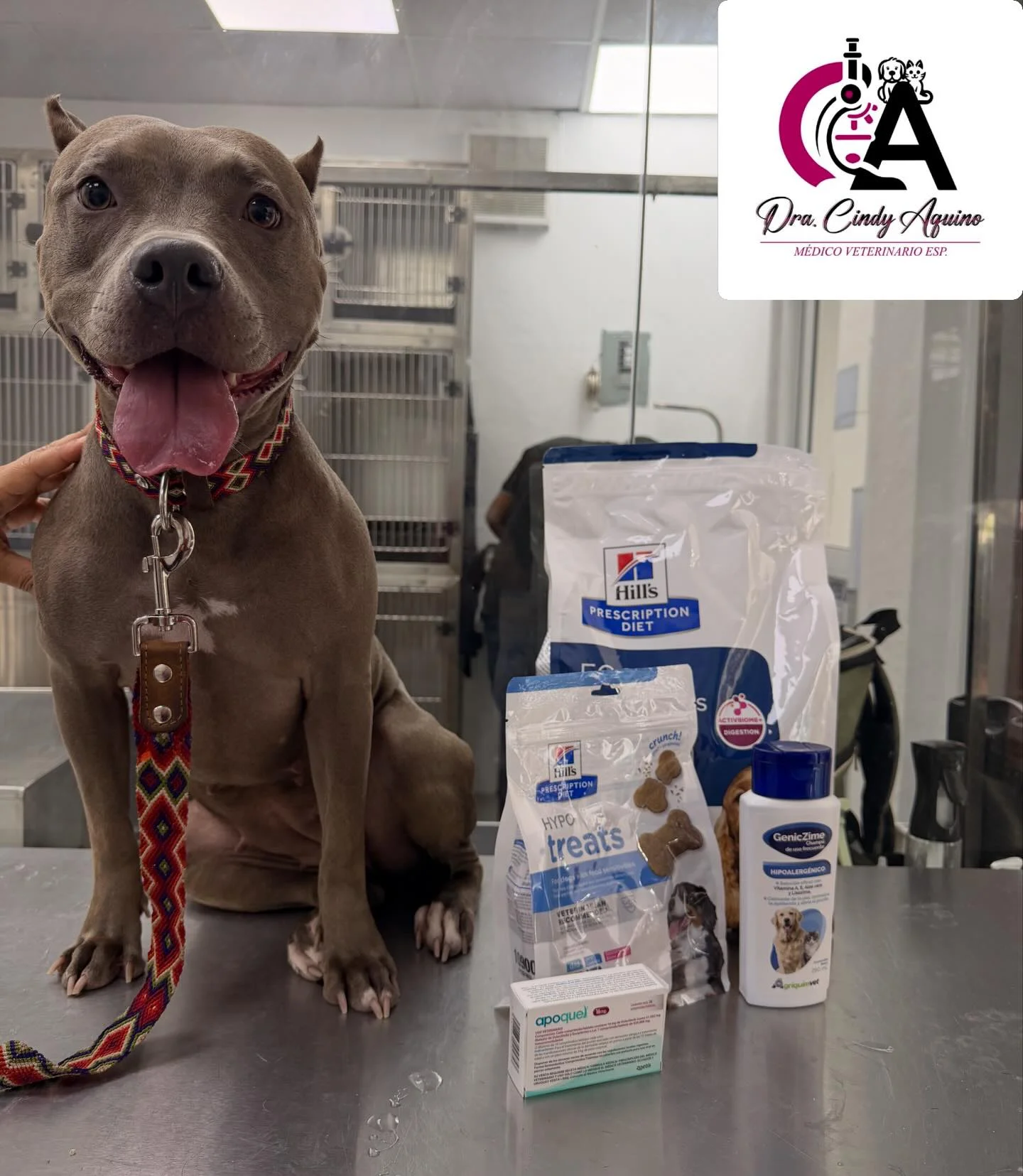 Consulta veterinaria para mascotas