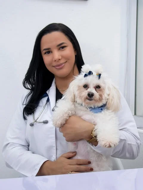 Instalaciones veterinarias para diagn&oacute;stico