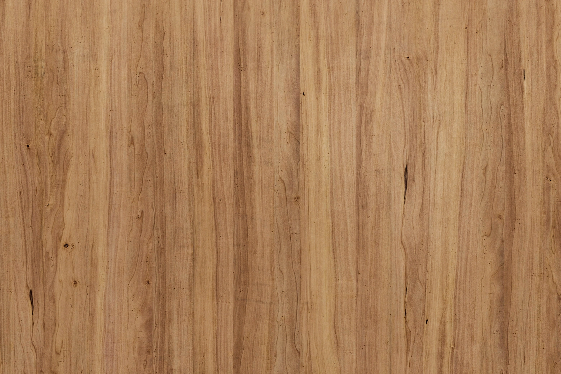 Maderas premium para arquitectura