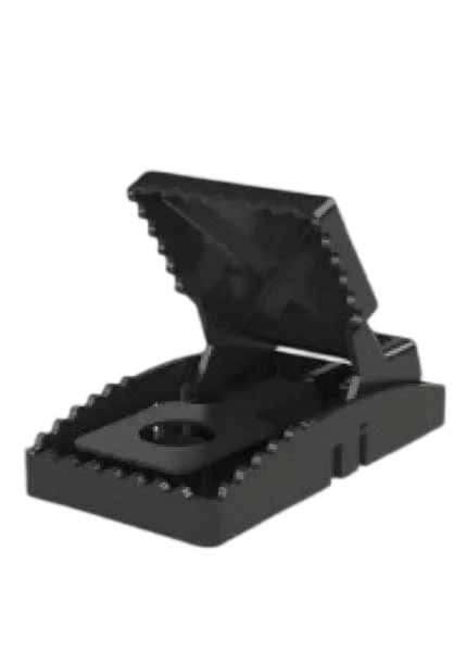 Imagen representativa de Shark G