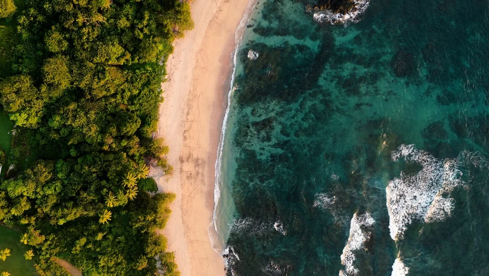 Manejo de sargazo en playa del Caribe 1