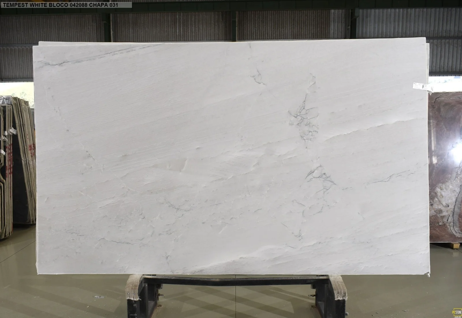Imagen de White Tempest