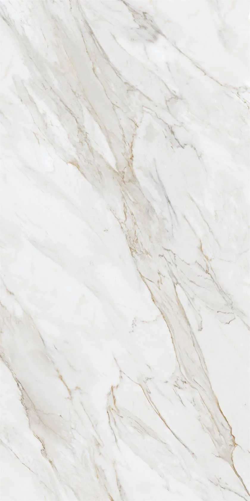 Imagen de Porcelánico Calacatta Borghini