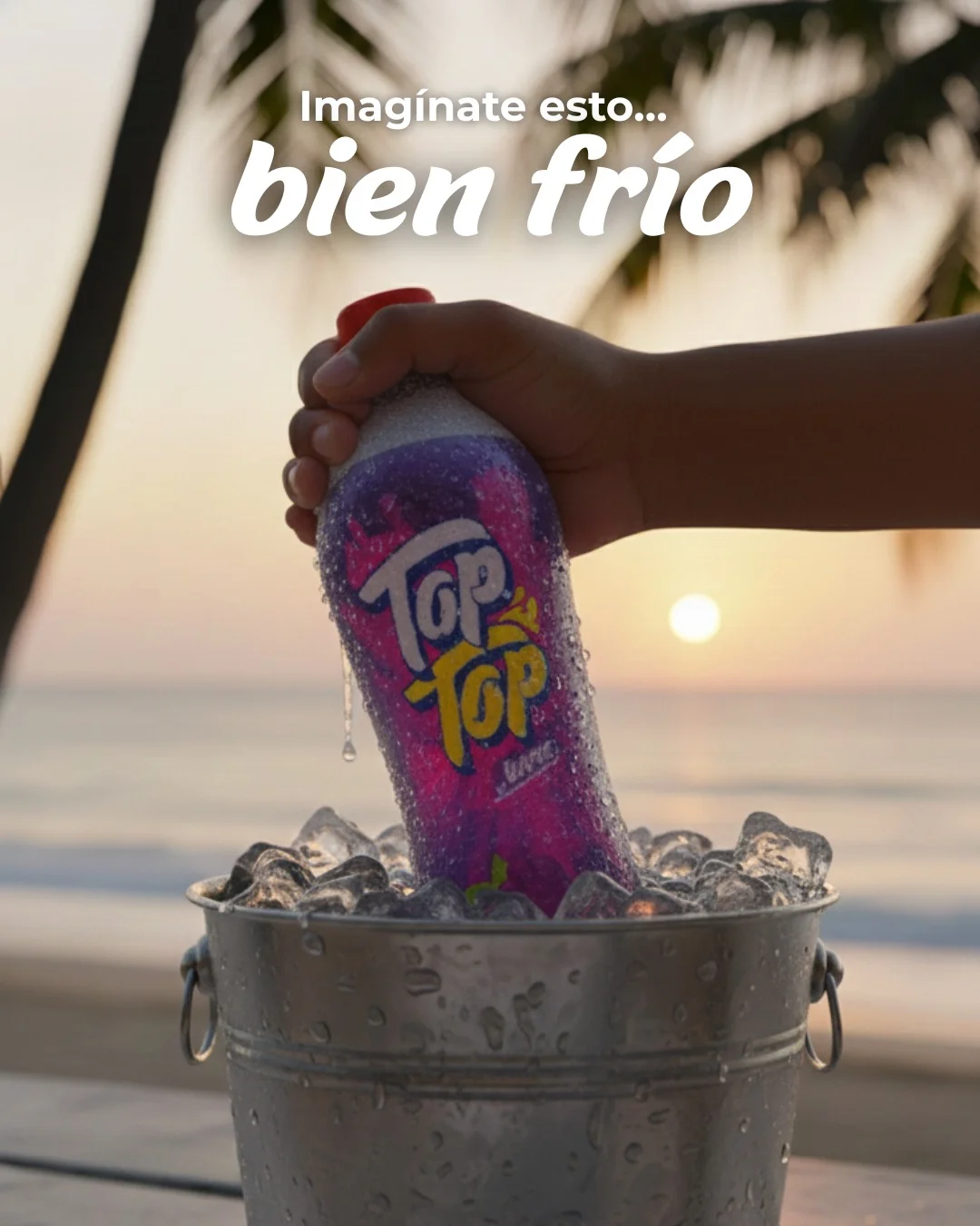 Momento TOP TOP