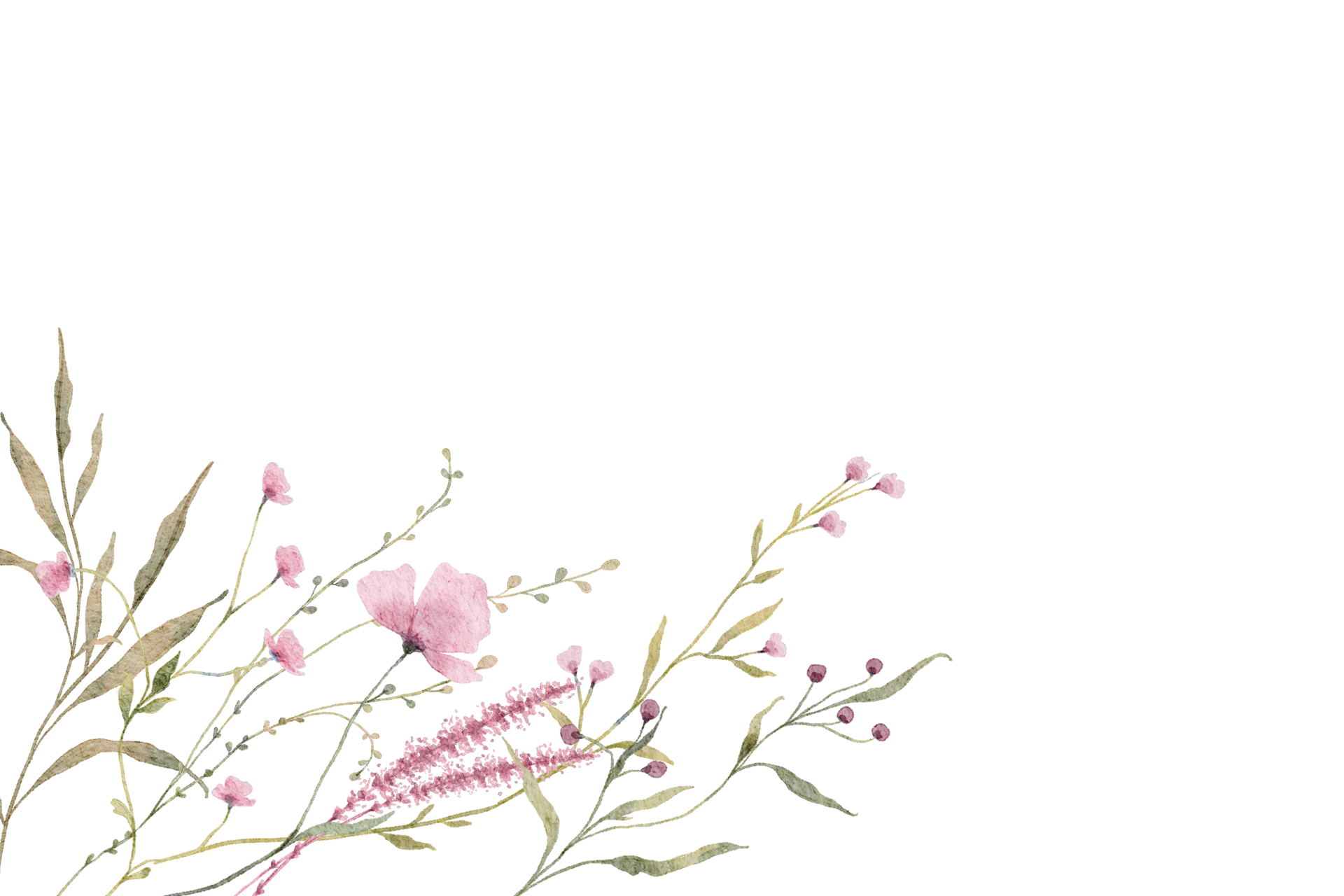Fondo de rosas y herramientas de floristería