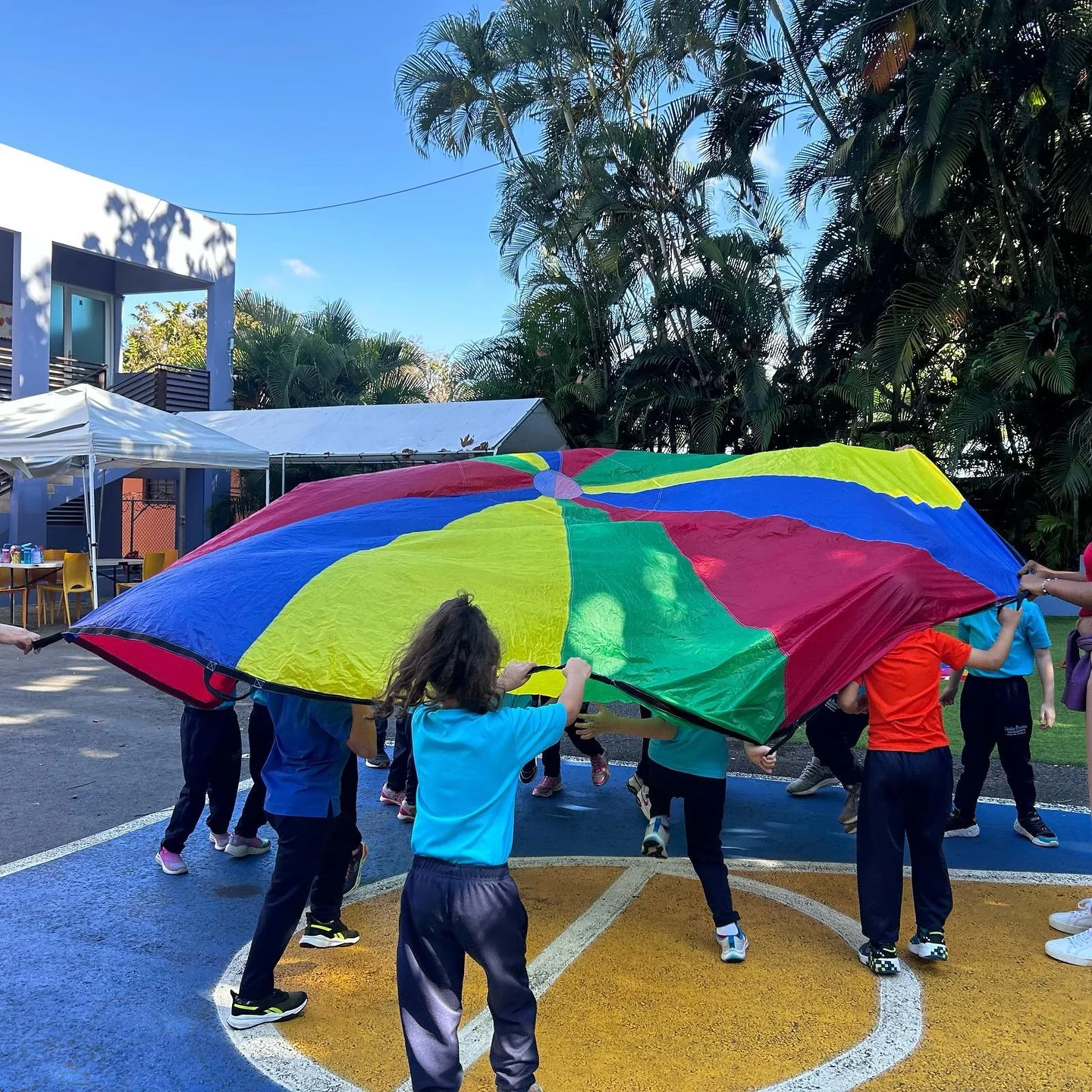 Momento Little Brains Academy 2