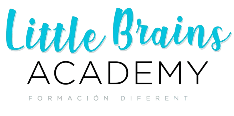 Little Brains Academy Text