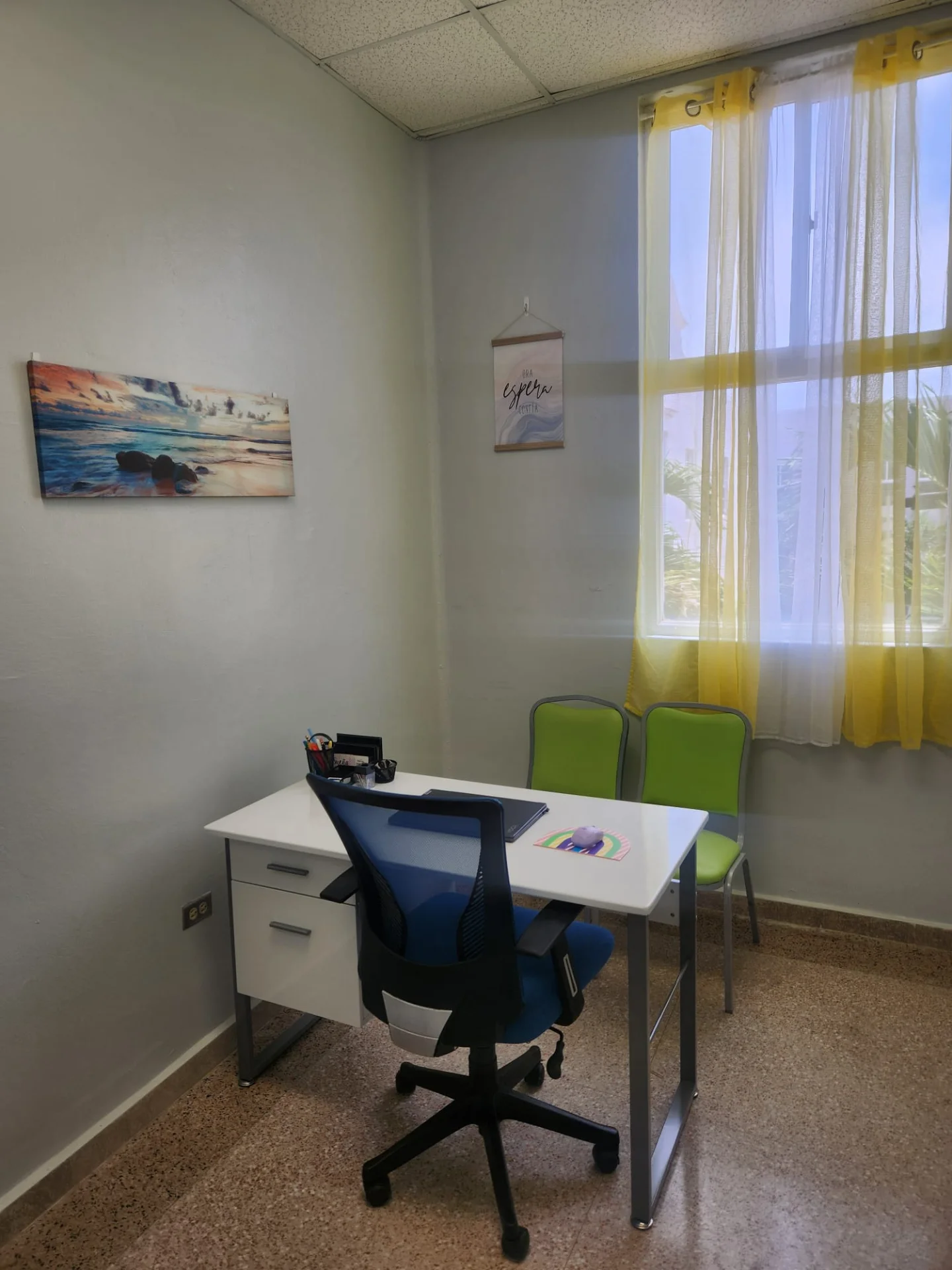 Consulta Privada