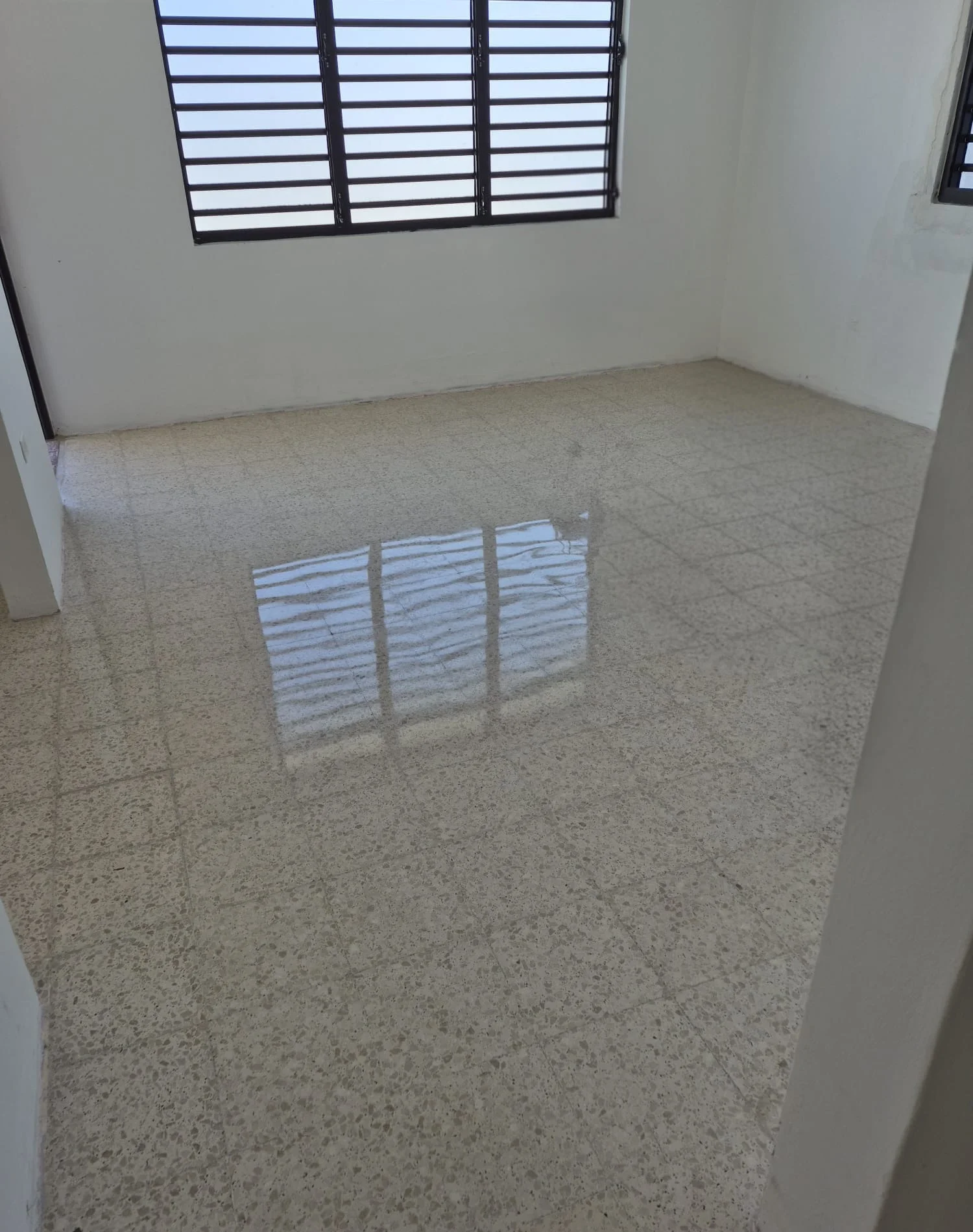 Diamantizado de Pisos