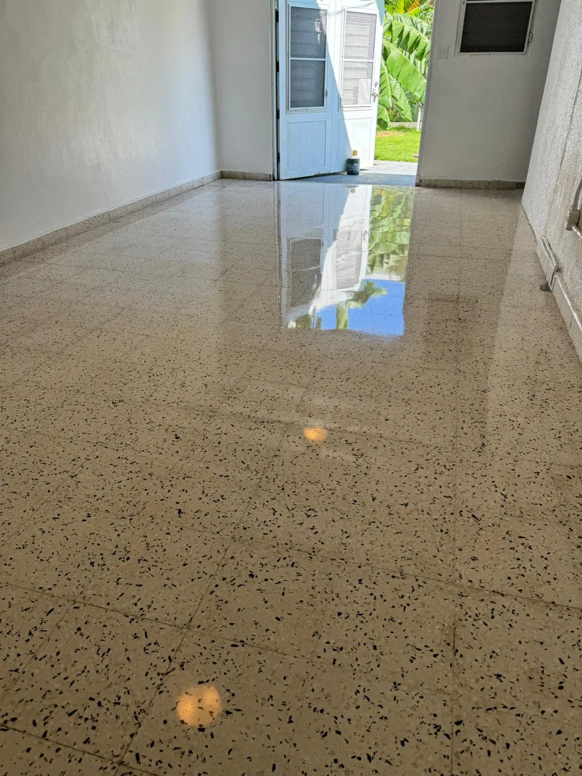 Piso de terrazo pulido brillante reflejando la iluminación y el espacio interior