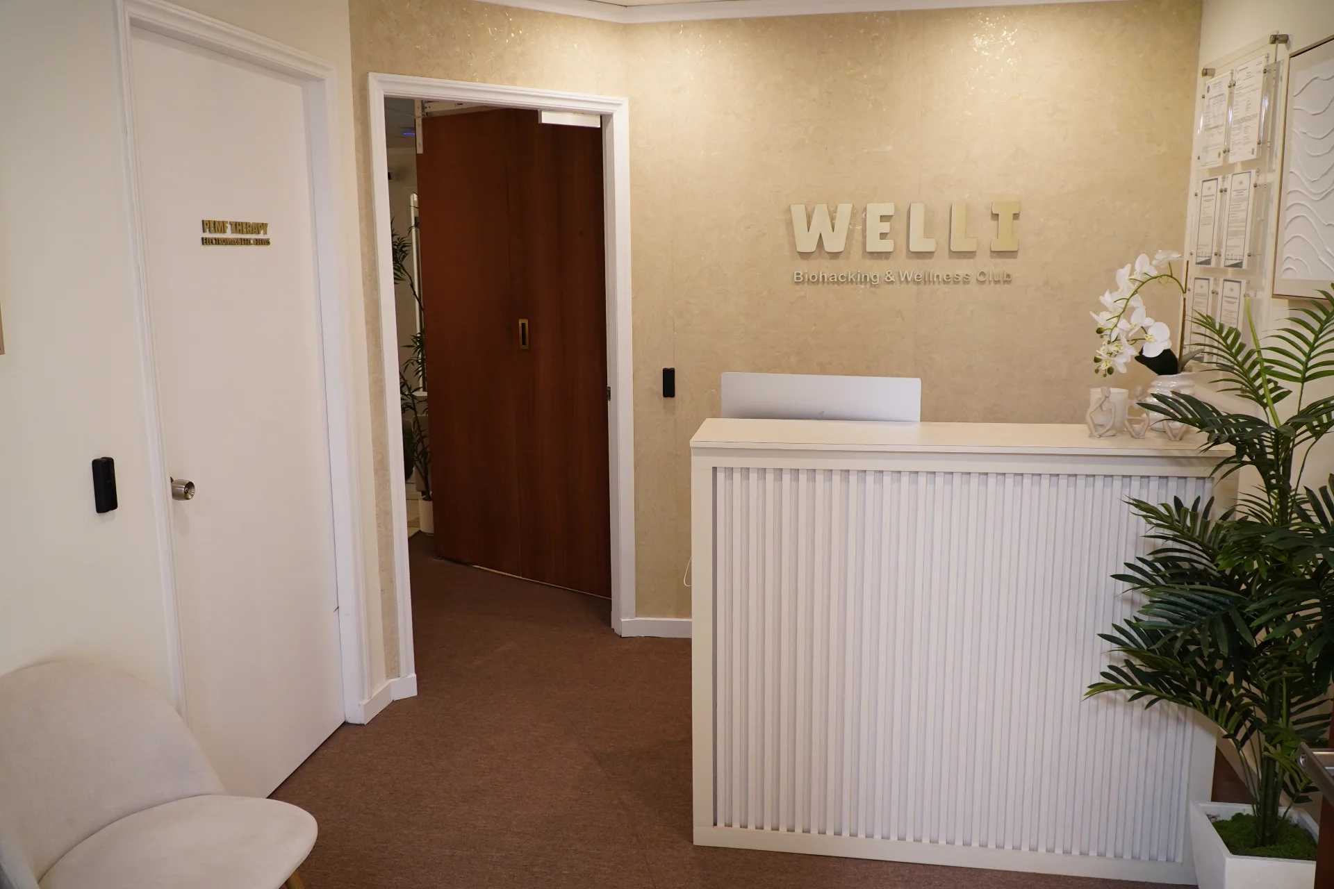 Consultoría clínica en Welli