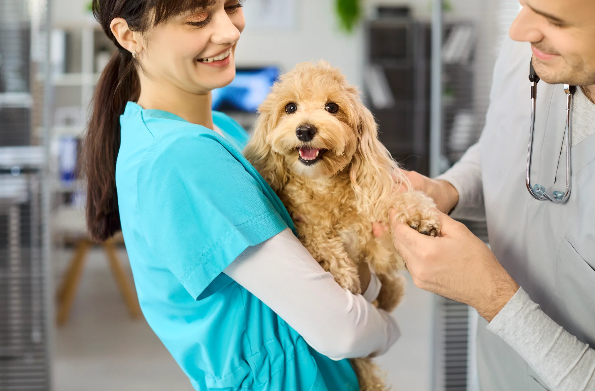 Veterinarians smile as they examine a Pomeranian dog in a medical office setting.