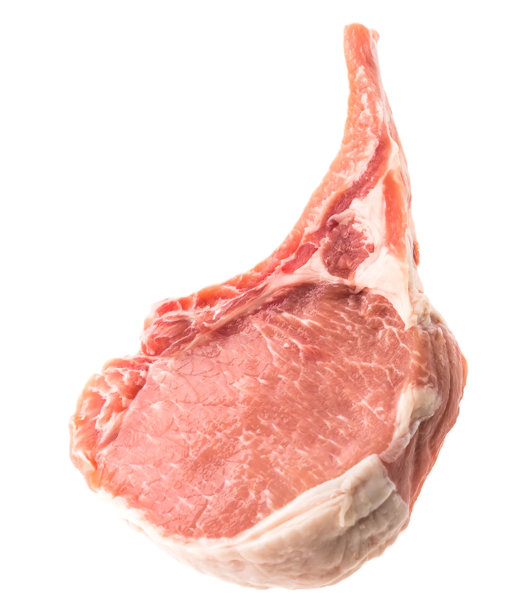 Cabro entero o picado, carne fresca de cabra
