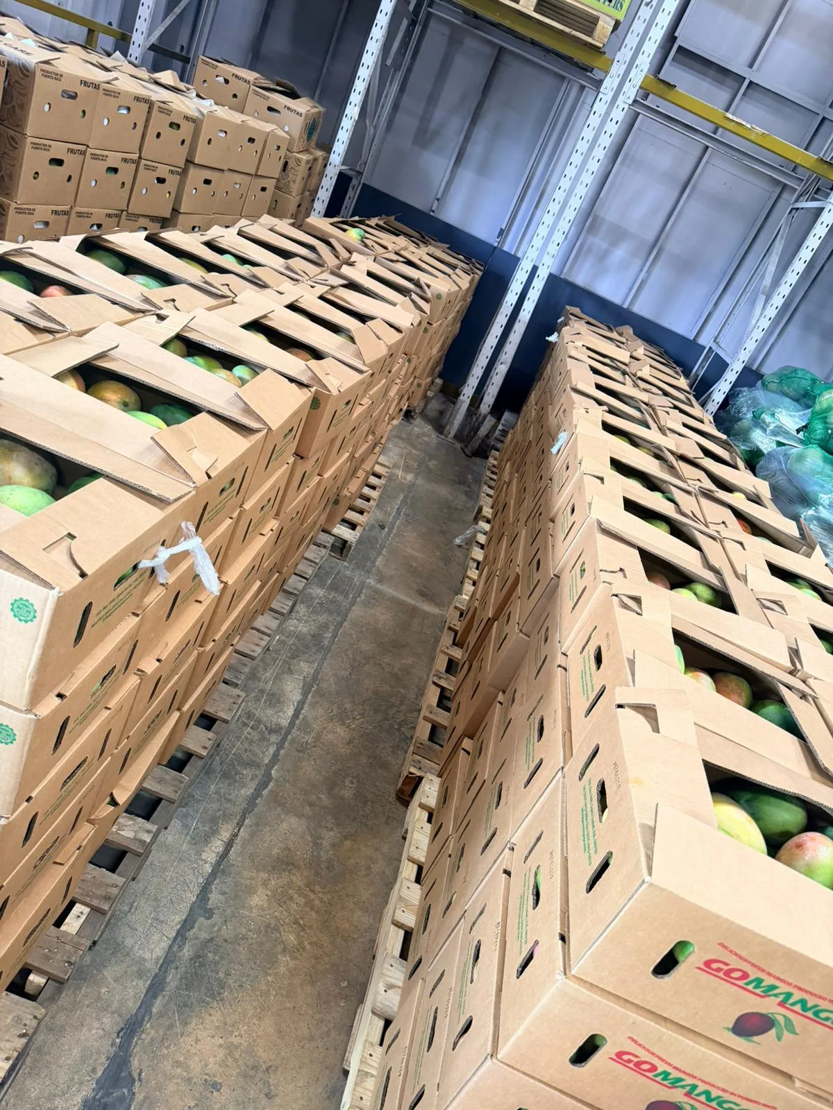 Inventario disponible para suplido continuo.