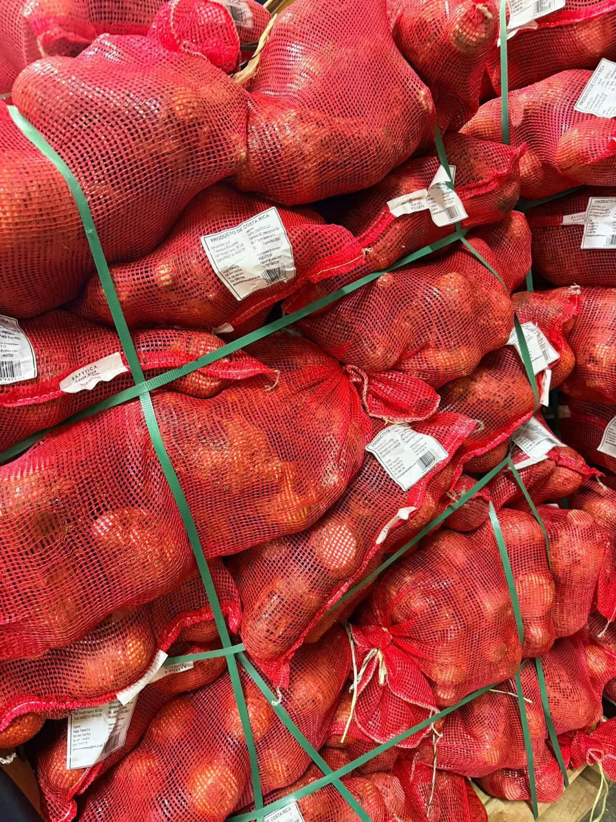 Frutas tropicales de alta calidad