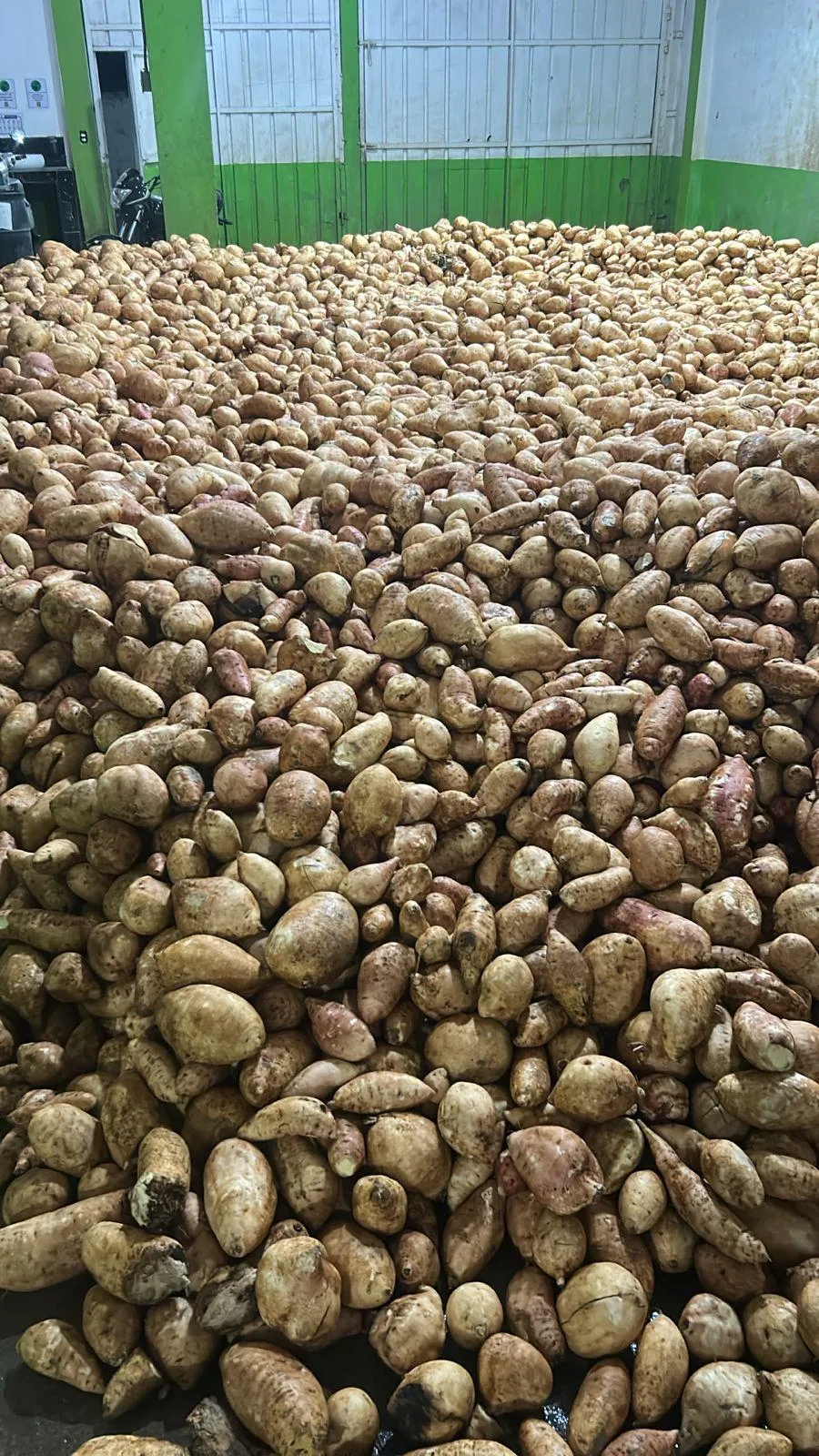 Amplia variedad de productos locales e importados.