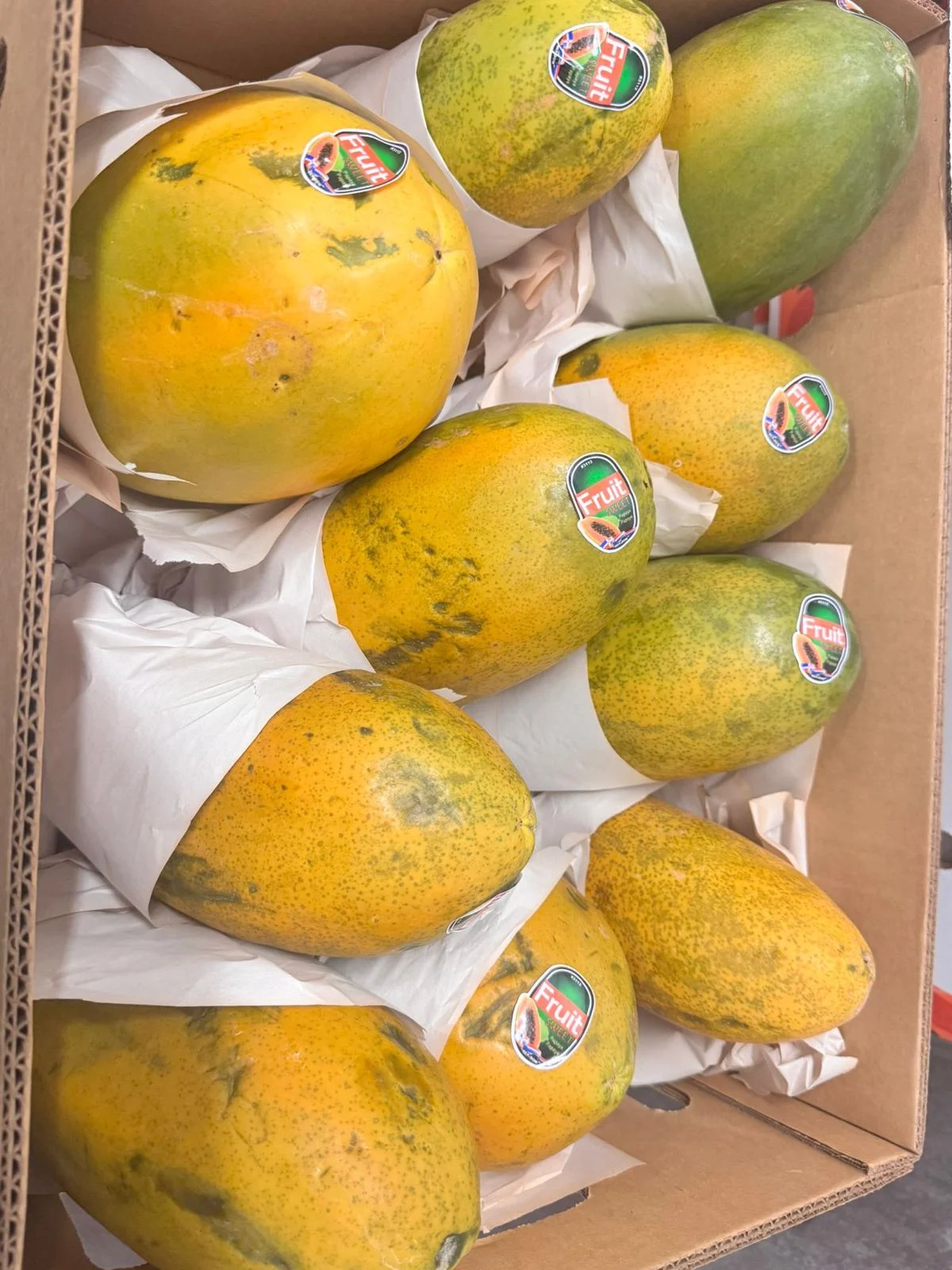 Frutas y verduras frescas de alta calidad.