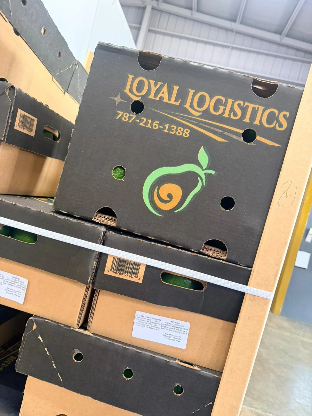 Vista interior del showroom de Loyal Logistics LLC mostrando vegetales frescos