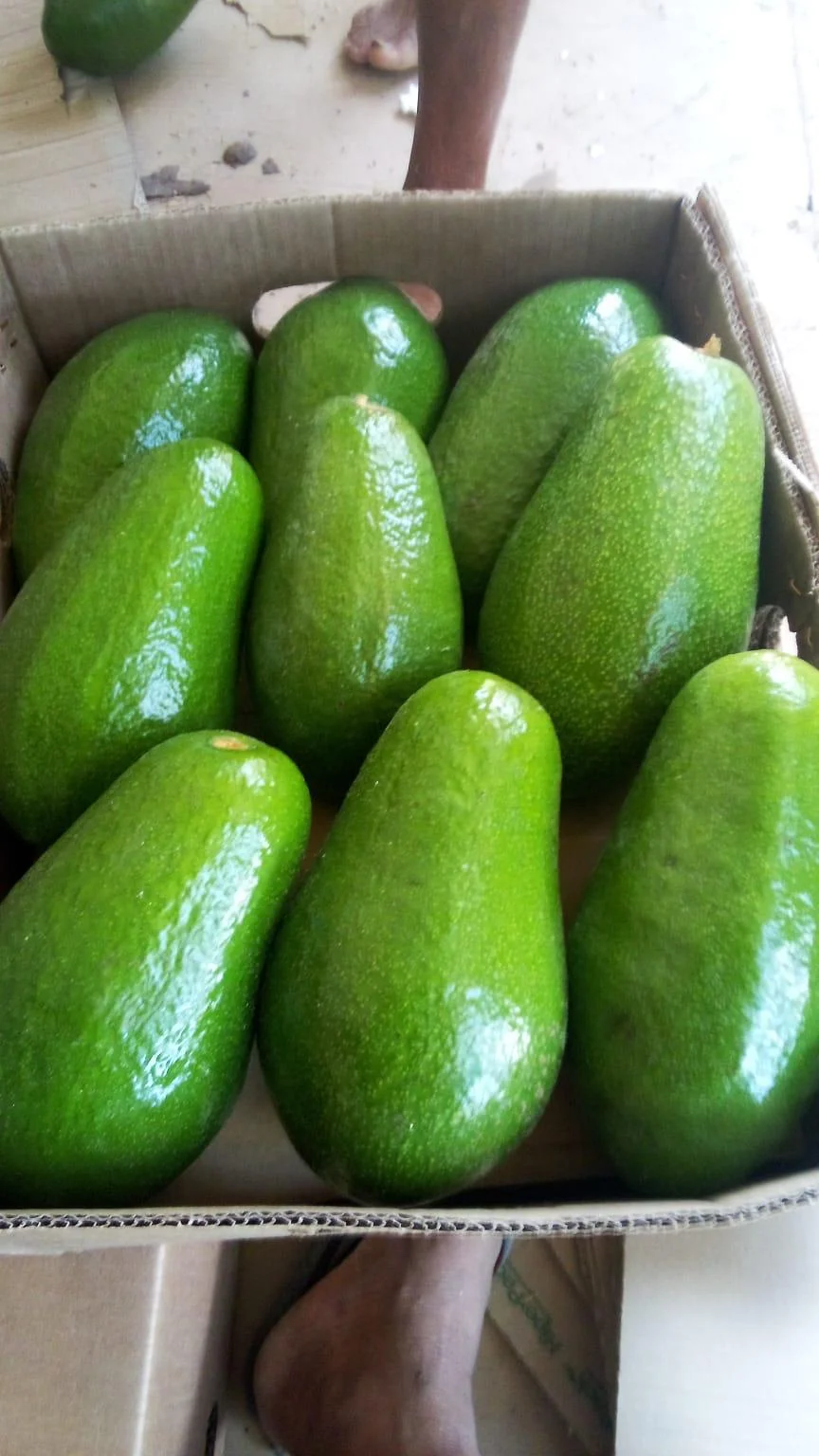 Vegetales frescos seleccionados
