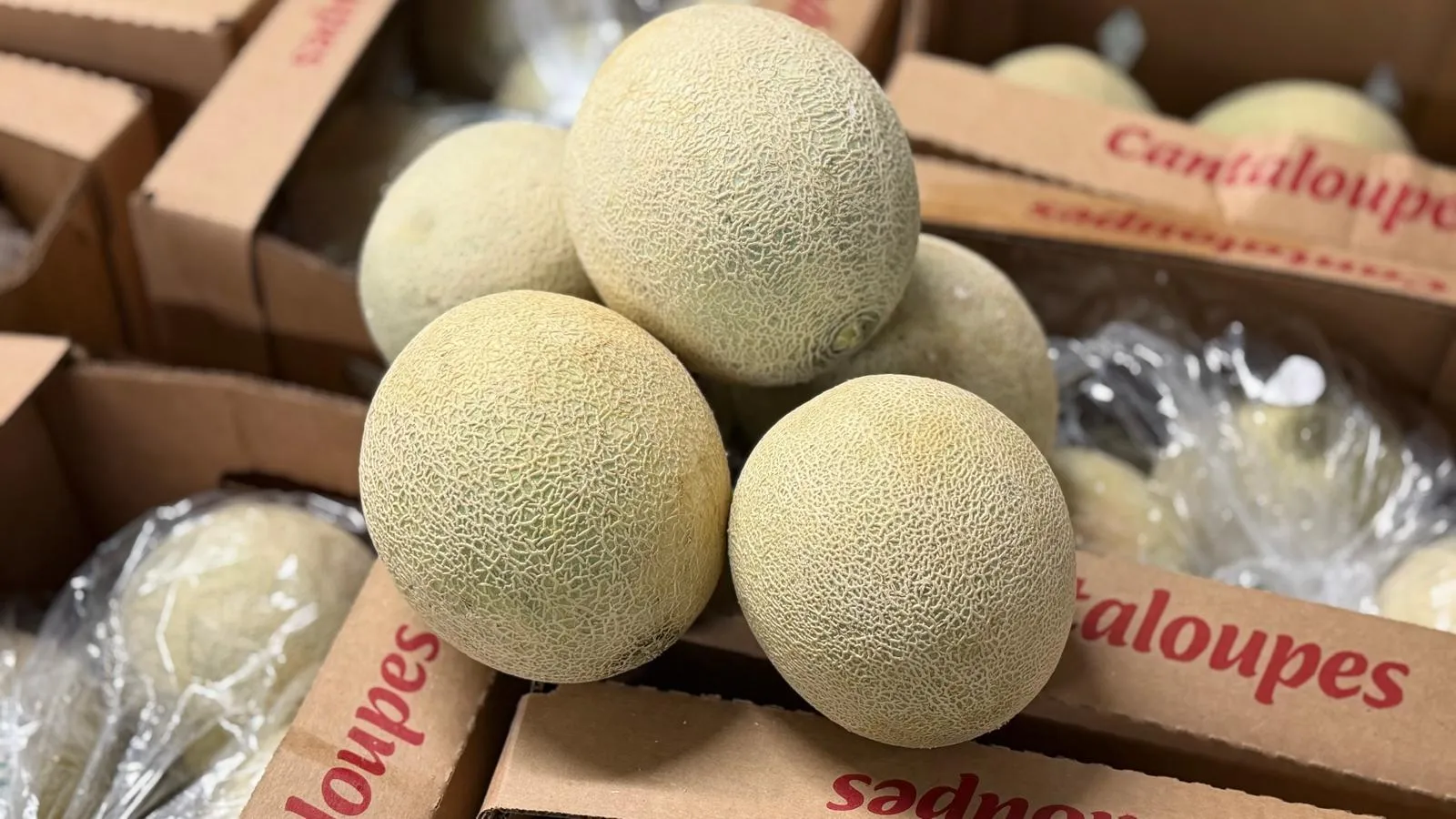 Frutas Frescas de Loyal Logistics