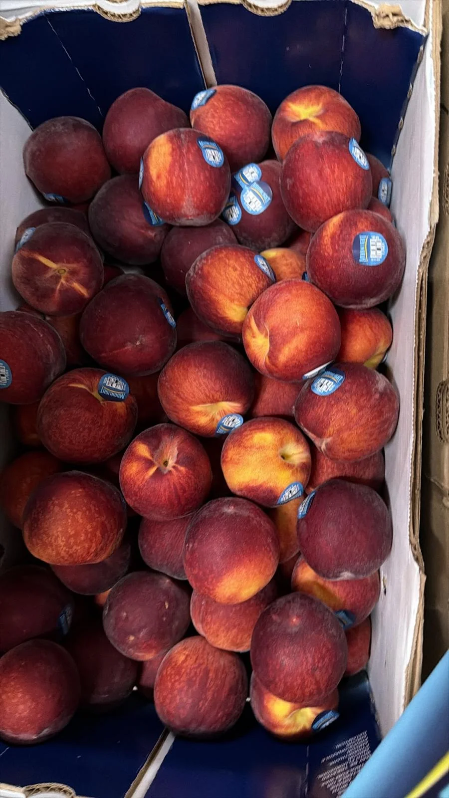 Cajas de frutas y vegetales en almacén