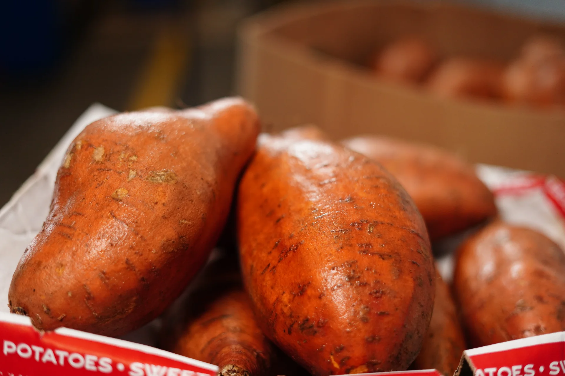 Selección de vegetales mayoristas