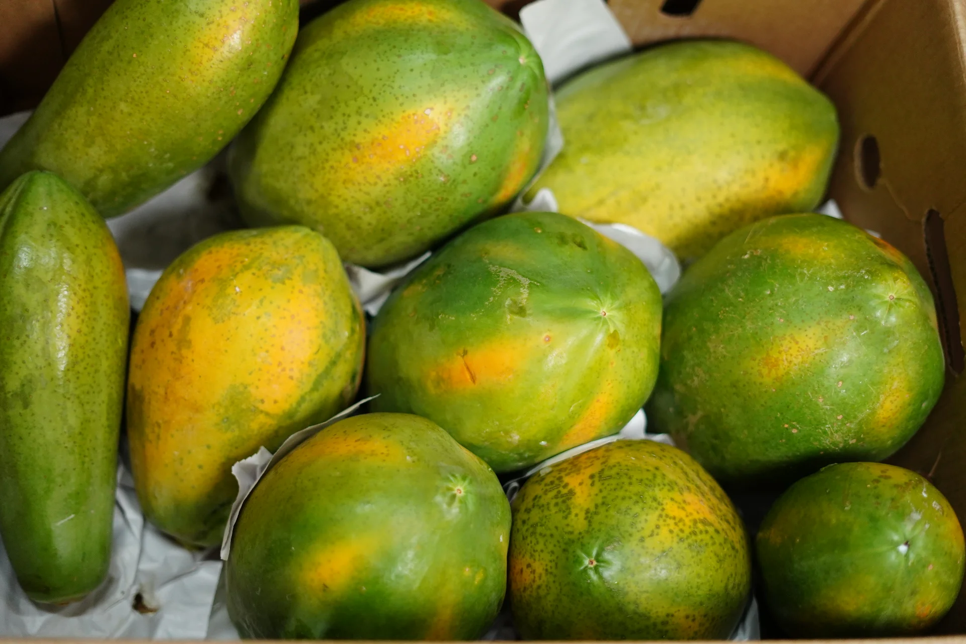 Frutas y verduras frescas de alta calidad.