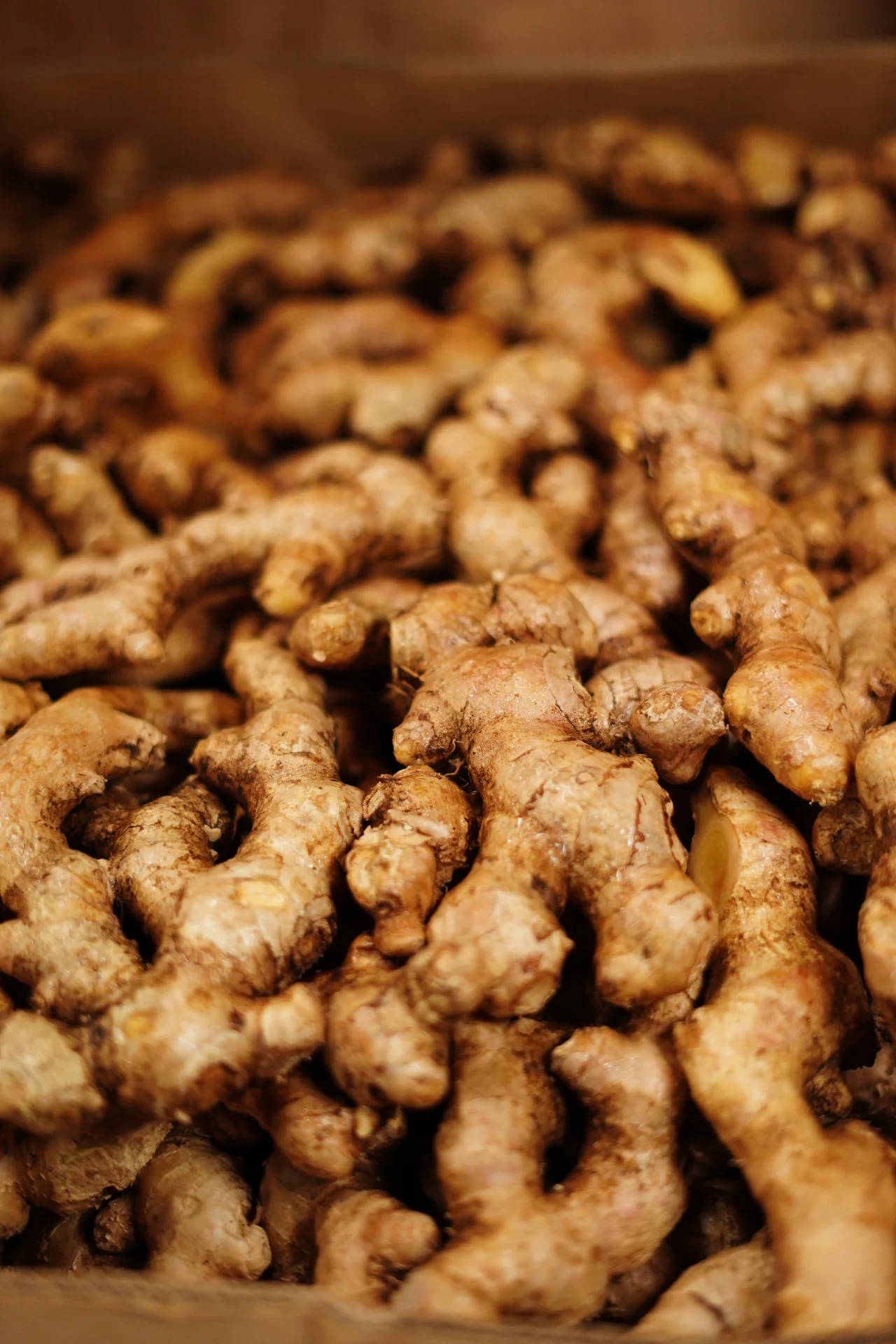 Cítricos y variedad de frutos