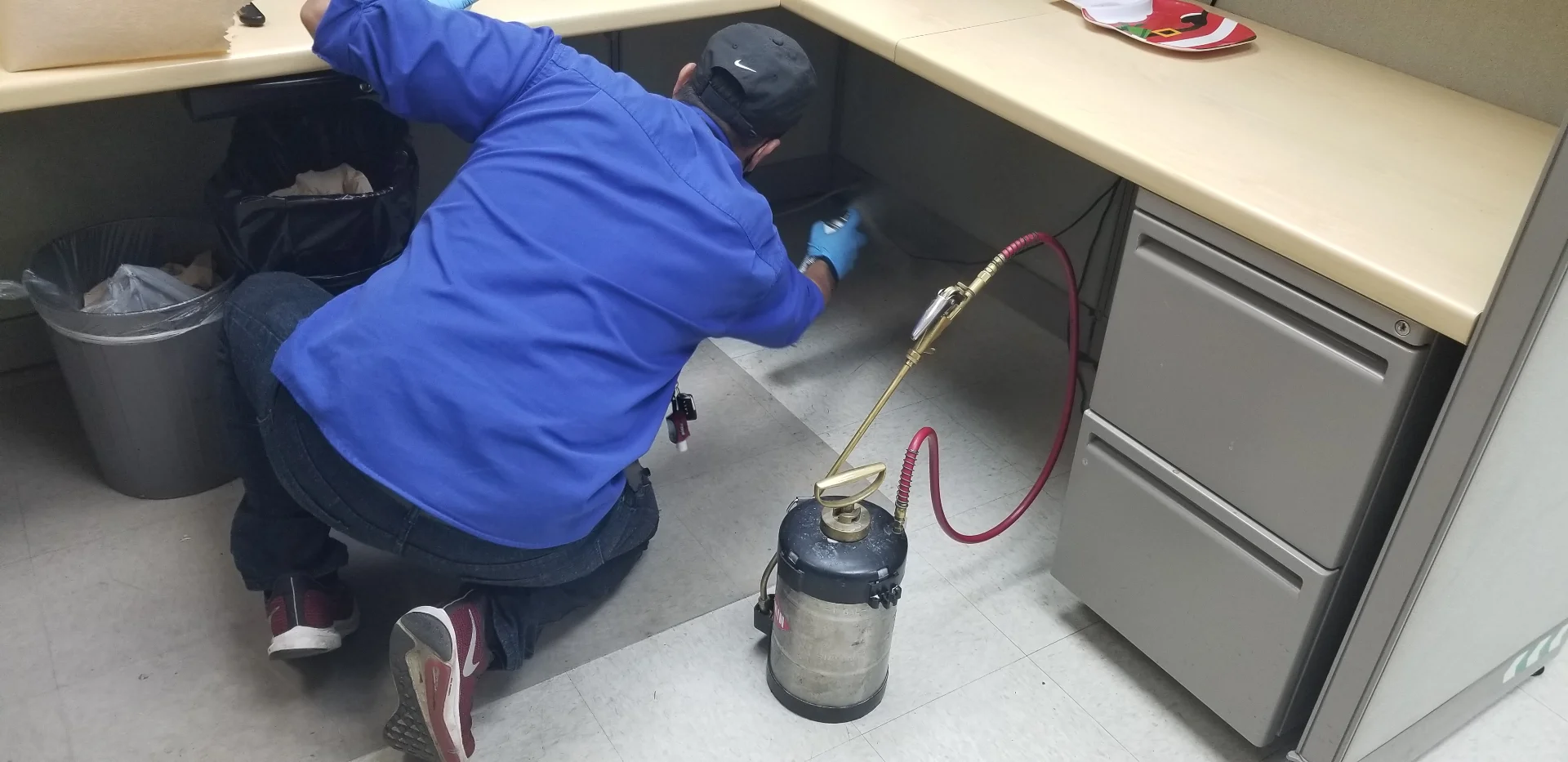 Trabajo 4