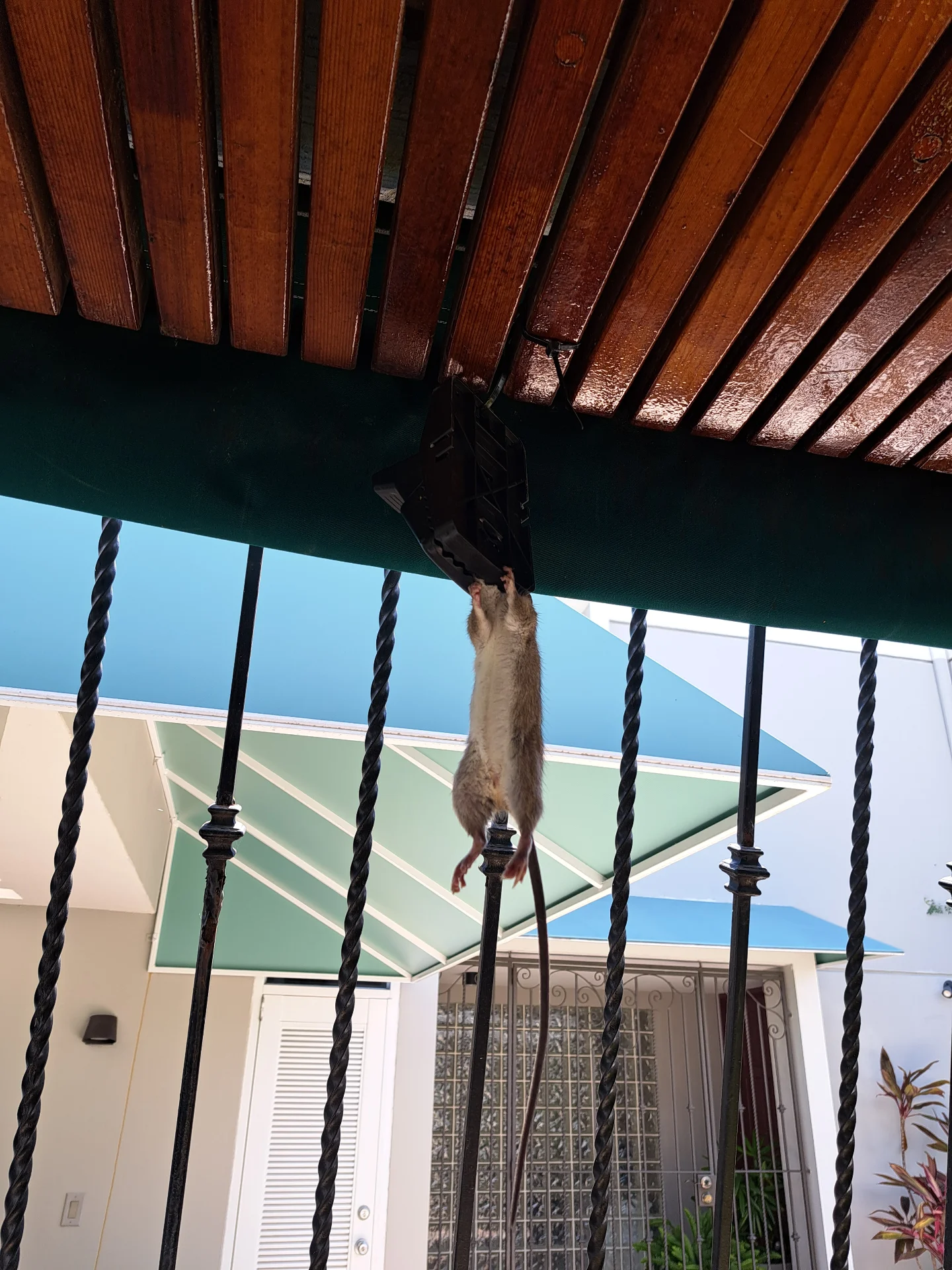 Trabajo 11