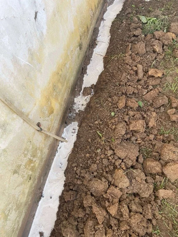 Servicio de fumigación