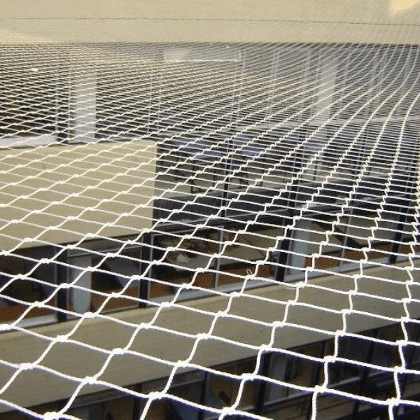 Inspección técnica
