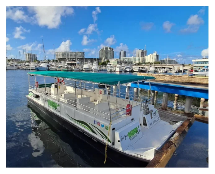 Sunset Harbor Boat Ride