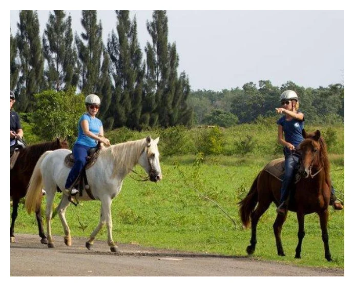 AVT Adventure Ride - Double ATV Experience