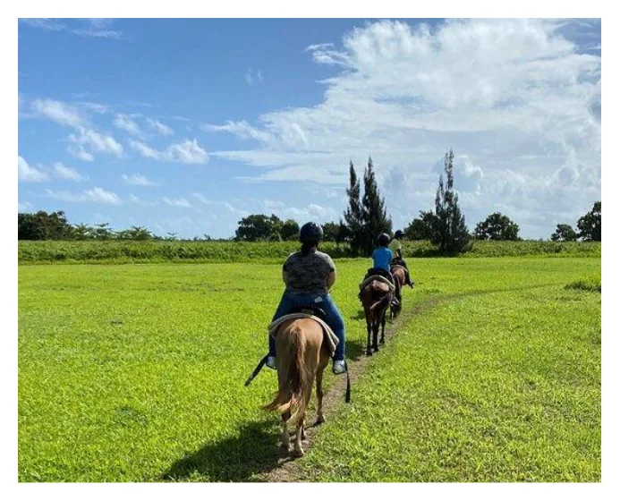 AVT Adventure Ride - Double ATV Experience