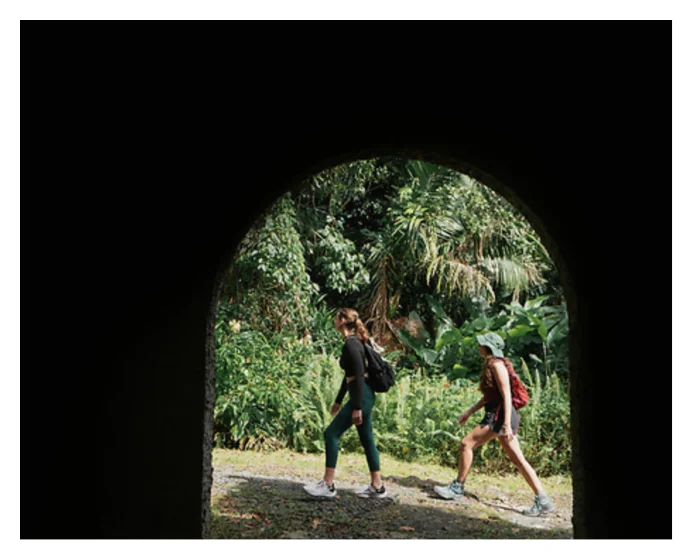 El Yunque Half-Day Tour