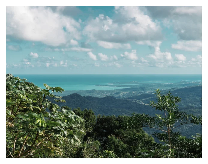 El Yunque Half-Day Tour