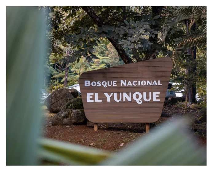 El Yunque Half-Day Tour