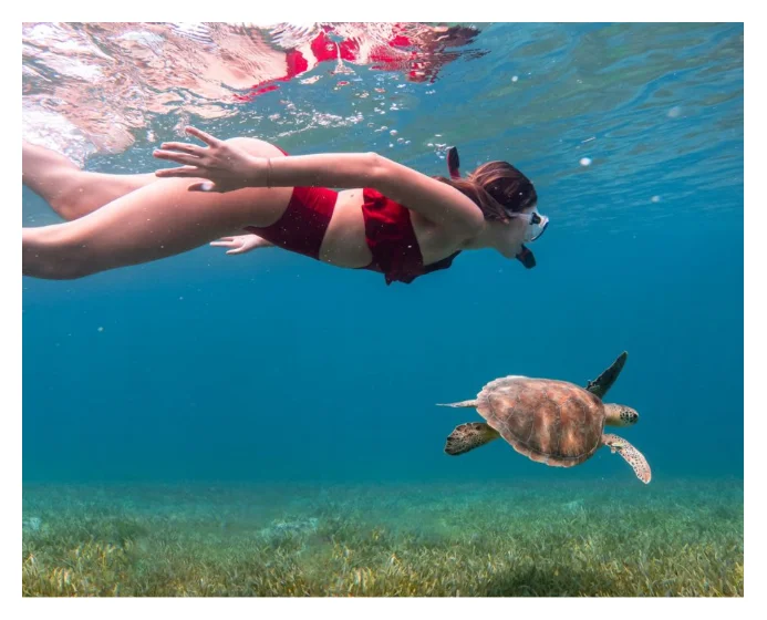 Sailing & Snorkeling Experience