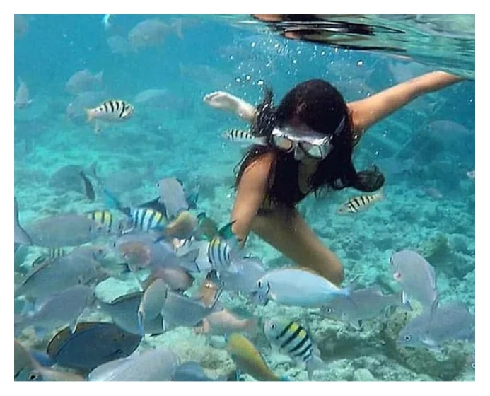 Sailing & Snorkeling Experience