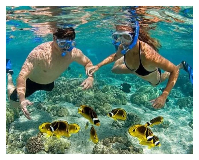 Sailing & Snorkeling Experience